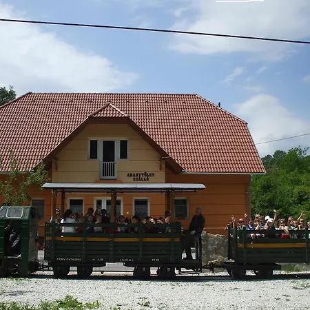 Hostal Aranytolgy Szallo *